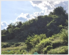  2024Ÿ��11410 ��� ������ ������ ���θ� 1281      ����(��1)���