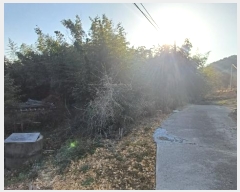  2024Ÿ11533   â η 473      (1)