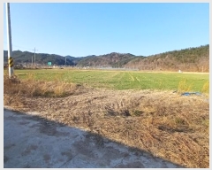  2024Ÿ11533   â η 473      (1)