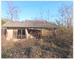  2024Ÿ11533   â η 473      (1)