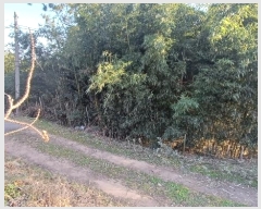  2024Ÿ11533   â η 473      (1)