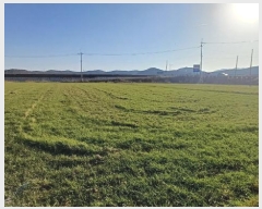  2024Ÿ11533   â η 473      (1)