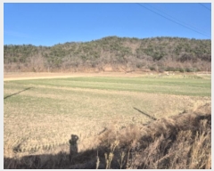  2024Ÿ11533   â η 473      (1)