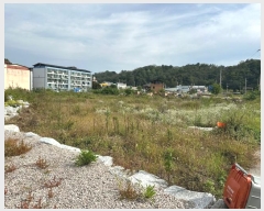  2024Ÿ11571     664      ()