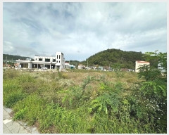  2024Ÿ11571     664      ()