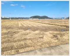  2024Ÿ��11618  ����