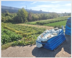  2024Ÿ��11618  ����