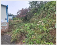  2024Ÿ11670   ǰ õ 517      (1)