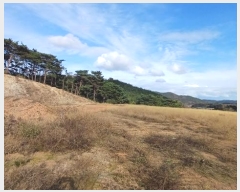  2024Ÿ11854   ǰ õ 453      (1)