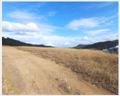  2024Ÿ11854   ǰ õ 453      (1)