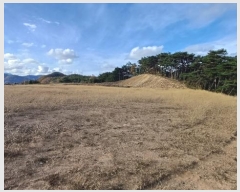  2024Ÿ11854   ǰ õ 453      (1)