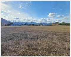  2024Ÿ11854   ǰ õ 453      (1)