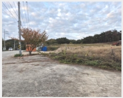  2024Ÿ11854   ǰ õ 453      (1)