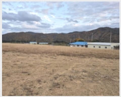  2024Ÿ11854   ǰ õ 453      (1)