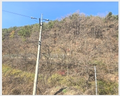  2024Ÿ��11892  �Ӿ߰��