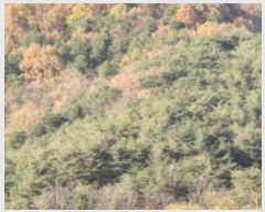  2024Ÿ��11892  �Ӿ߰��