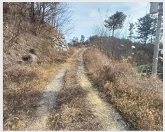  2024Ÿ11915     878-10      (1)