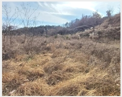  2024Ÿ11915     878-10      (1)