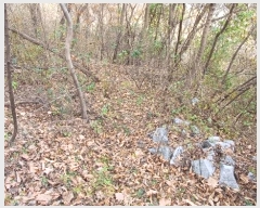  2024Ÿ11915     878-10      (1)