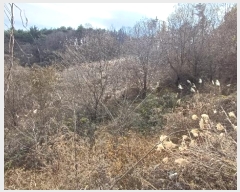  2024Ÿ11915     878-10      (1)