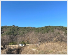  2024Ÿ��11953  �Ӿ߰��