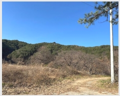  2024Ÿ��11953  �Ӿ߰��