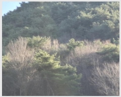  2024Ÿ��11953  �Ӿ߰��