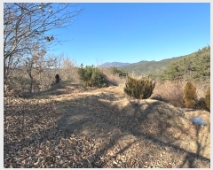  2024Ÿ12093   â â 606-1      (1)