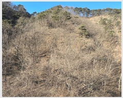  2024Ÿ12093   â â 606-1      (1)