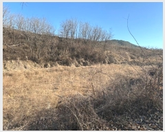  2024Ÿ12093   â â 606-1      (1)