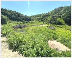  2024Ÿ��502 ��� ������ ������ ��ź�� 196      ����(��)���