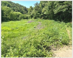  2024Ÿ��502 ��� ������ ������ ��ź�� 196      ����(��)���