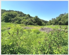  2024Ÿ��502 ��� ������ ������ ��ź�� 196      ����(��)���