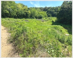  2024Ÿ��502 ��� ������ ������ ��ź�� 196      ����(��)���