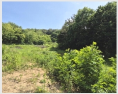  2024Ÿ��502 ��� ������ ������ ��ź�� 196      ����(��)���