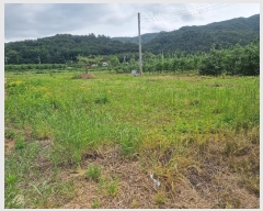  2024Ÿ��526 ��� ������ â���� ���긮 129-15      ����(��1)���