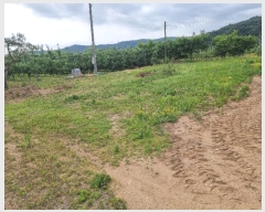  2024Ÿ��526 ��� ������ â���� ���긮 129-15      ����(��1)���