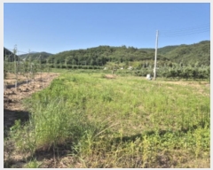  2024Ÿ��526 ��� ������ â���� ���긮 129-15      ����(��1)���