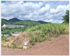  2024Ÿ��663 ��� ���籺 �Ͽ��� �ְ 194-1      ����(��1)���