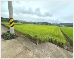  2024Ÿ��847 ��� ������ ������ ��縮 182-6      ����(��)���