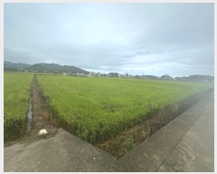  2024Ÿ��847 ��� ������ ������ ��縮 182-6      ����(��)���