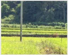  2024Ÿ��847 ��� ������ ������ ��縮 182-6      ����(��)���