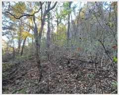  2024Ÿ1024  籺 Ͽ ̸ 528      (1)