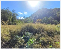  2024Ÿ1024  籺 Ͽ ̸ 528      (1)