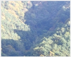  2024Ÿ1024  籺 Ͽ ̸ 528      (1)