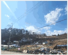  2024Ÿ��1246  ���������