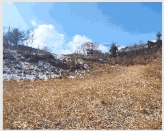  2024Ÿ��1246  ���������