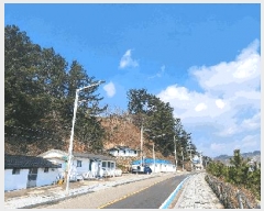  2024Ÿ��1246  ���������