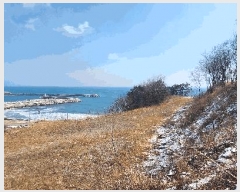  2024Ÿ��1246  ���������