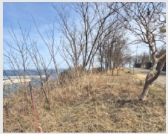  2024Ÿ��1246  ���������